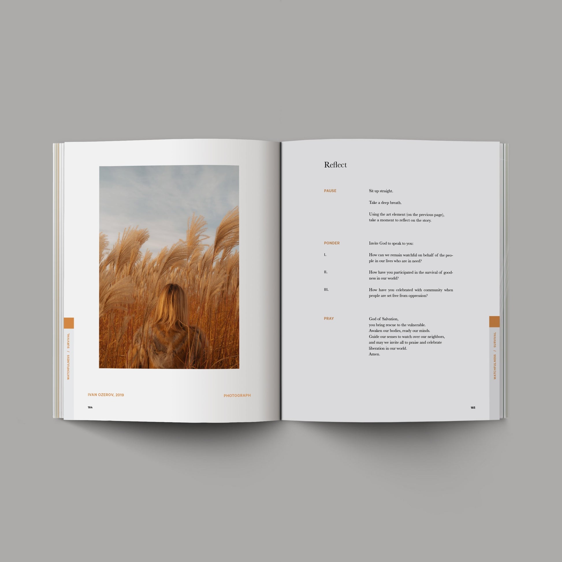 The Good and Beautiful Bible - Volume 1